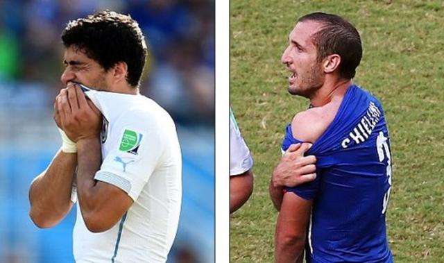 也多呈黄褐 也多呈黄褐